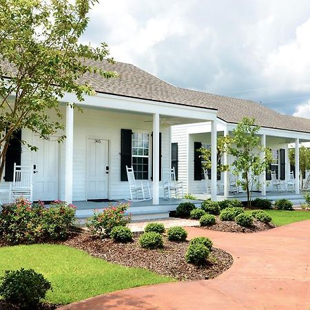 Nottoway Plantation&Resort White Castle Zewnętrze zdjęcie