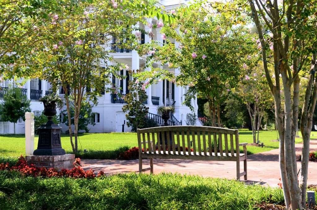 Nottoway Plantation&Resort White Castle Zewnętrze zdjęcie